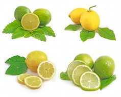 detox citron